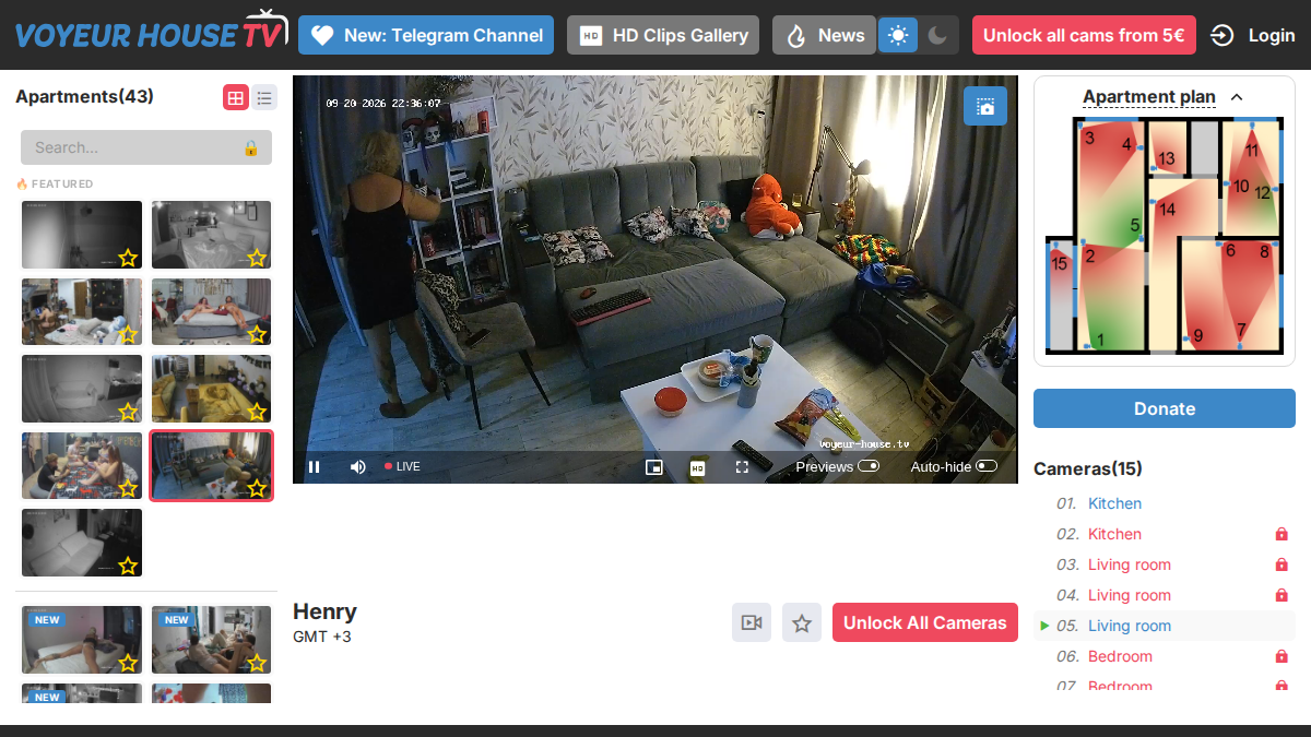 Voyeur House · Podgląd strony